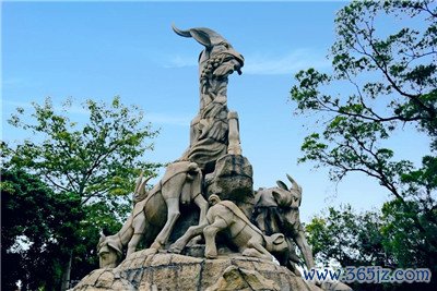 深圳，一个充满活力的城市